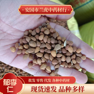 ��������ș��1000g������нӴ�؛����ă��������ѿɴ��������