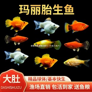 ̥���~�����~Ƥ���~���B�ͻ��^�p�~���w�׷�ֳС�͟Ꭷ�~��������