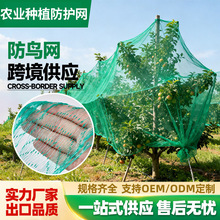 防鸟用网果园防鸟网果树樱桃防鸟网葡萄园防鸟用网稻谷地防鸟用网