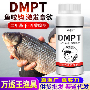 DMPT�_�ڄ���~Сș�a�����c�_�ǵ�ˮҰ��Dʳ���T�~��ҧʯ������