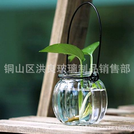 批发供应 铁线提手玻璃南瓜形烛台 吊挂花瓶 家居摆设