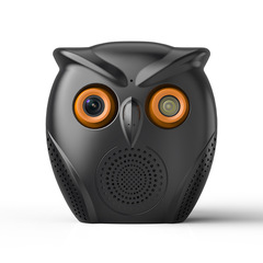 私のモデルのカメラのフクロウの大きいスピーカーはbluetoothの音響の夜視の高清の装飾品の監視制御器を持ちます。