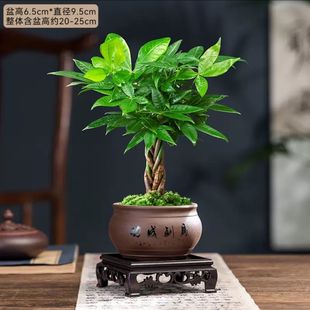 �p�Ӱlؔ��С���Կ͏d�҃ȾGֲ�k��������ؔ�ļ����B������һ���