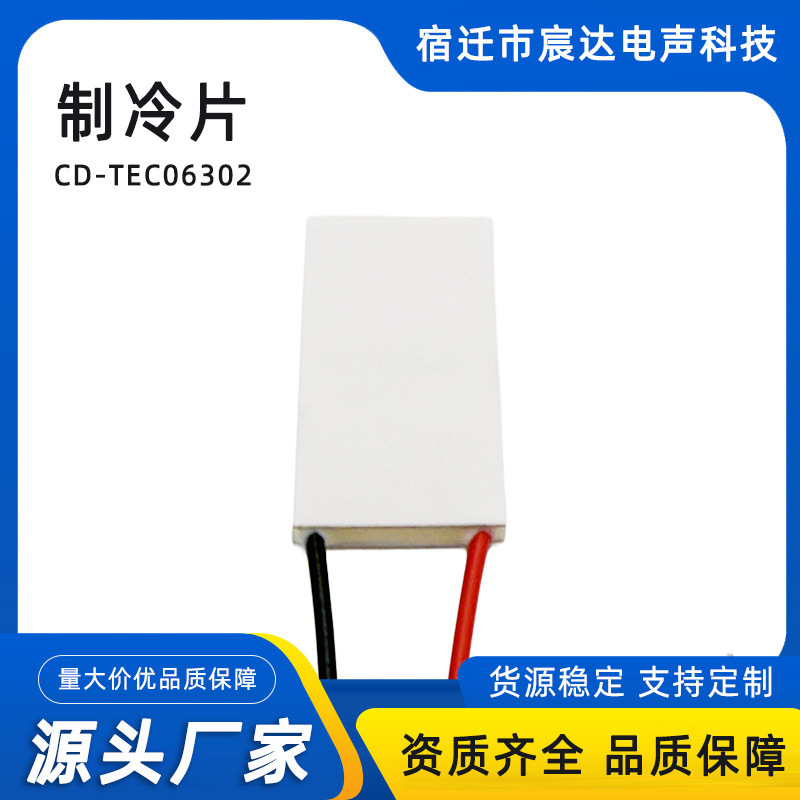 メーカーの新しい半導体冷凍チップ CD-TEC06302-L100MM ウォーターディスペンサー車の冷蔵庫冷蔵庫|undefined