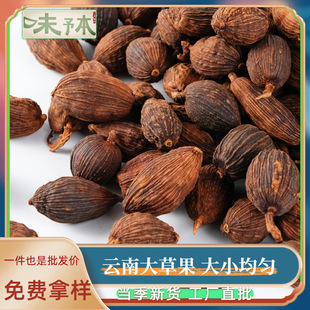 �ݹ����ϴ�ݹ��۲ݹ�������ϲݹ���؛ȥ�Ѳݹ����ϴ�ȫ�������l