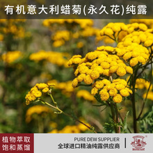 ���������a�^��������û�Ϟ�ռ�¶�M���ЙC��Ȼֲ�﷼����¶��ˮ