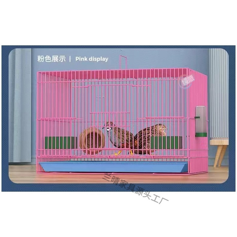 8a37e3d8-89bd-432f-a9cb-c0a8003f566a.jpe