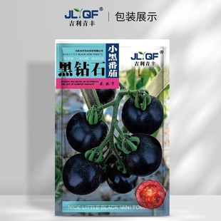 ���]���ʯ���ҷ��ѷN���������N�Ѵ����ļ��̨����ˮ���߲˷N��