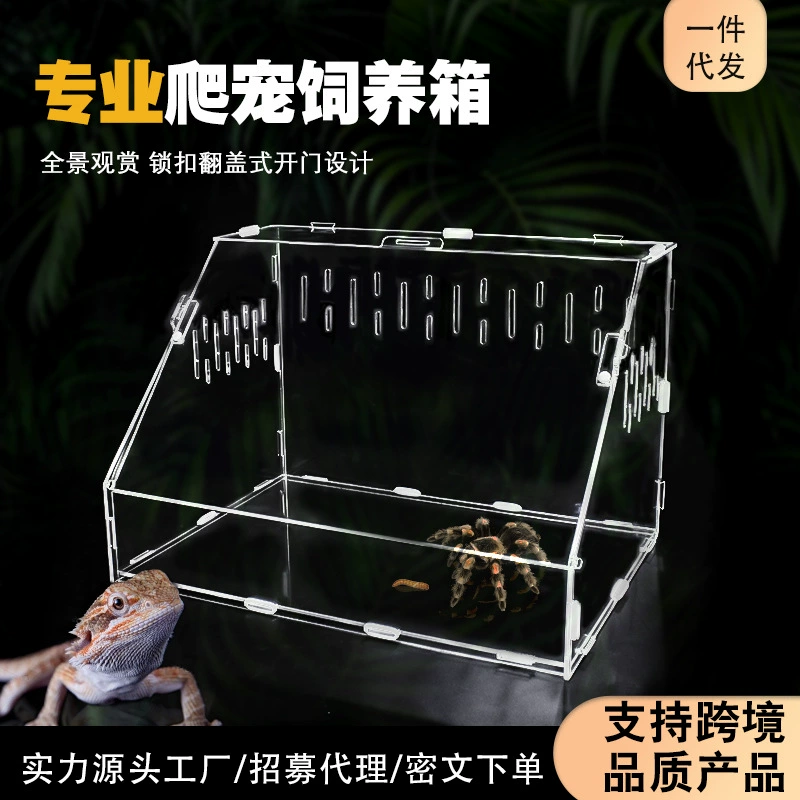 Фабрика прямых продаж акриловые рудины куриные кормушки рептилии рептилии черепаха ящерица питомец богомол прозрачная кормушка