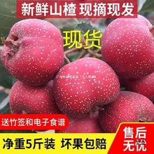 ɽ髹rbrɽ髬FժɽɽtǺJƬlr