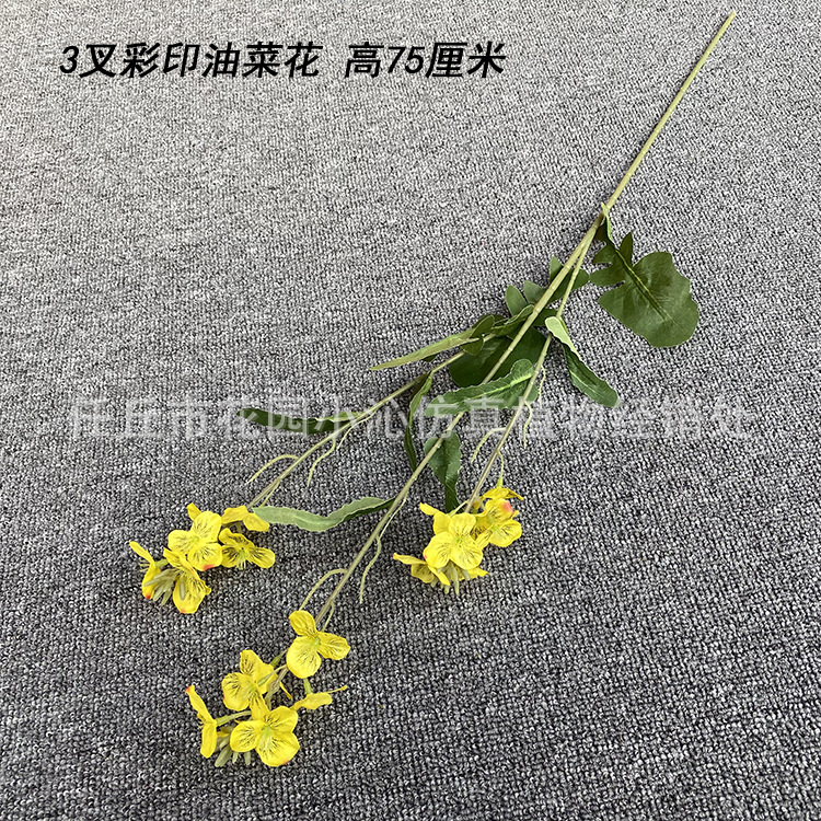 새로운 작은 유채 꽃