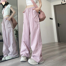 2026С�t�������ɫ���bѝ���ļ��������С������ʽ�ٸ��\��ѝ