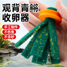观背青鳉鱼卵收卵器漂浮挂卵神器专用鱼卵收集取卵器多颜色手工