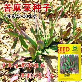 蔬菜种子;其他农业