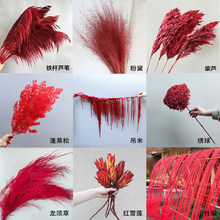 �tɫ�������ɻ�ϲ�c��Y�������R��ӭ�Ͷ�����tѩɏ���J�񾎽���