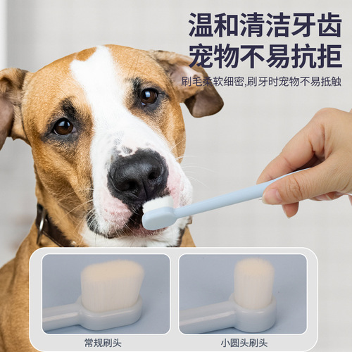 Pet toothbrush, dog toothbrush, cat and dog oral cleaning, pet toothpaste set, 10,000-bristle toothbrush, pet supplies