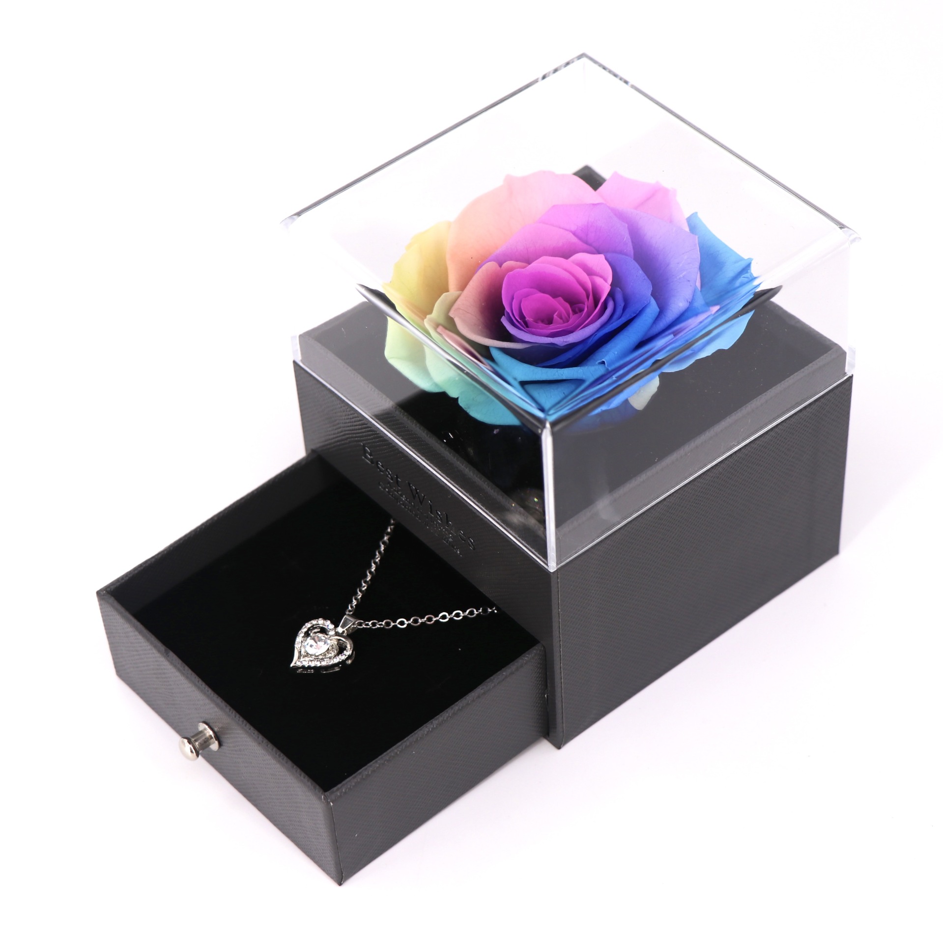 Vida eterna verdadera rosa colorida