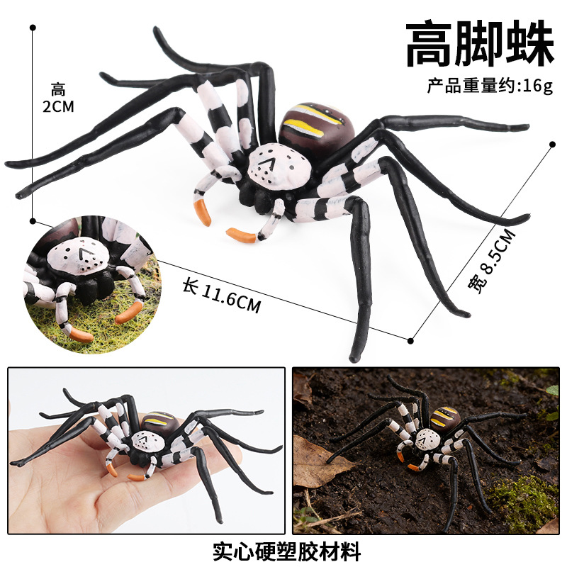 M-2899 Tall Spider (large)