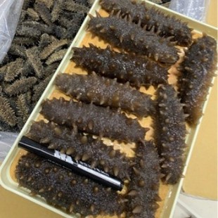 ���BԴ�^�a�؇������Ŵ�6���ɺ������S����P�|���̅����l