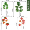 Manufacturer Direct Simulation 7 Founds Persia Leaf Maple Leaf Rose Leaf Decoration Wedding Flower Stroke Leaf with Material