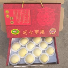 2025��ɽ�|��̨�S�����͸�ʿţ�̸�ʿ���rˮ���S������͸�ʿ�O��