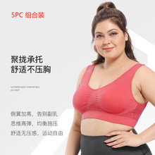 5PC�羳��asports-bra͸��������۔n�\�Ӄ��¾W���ܲ��٤����