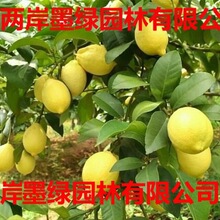 ���ʘ������Ԏ��ֲ晎���������ˮ�����癎���������ļ��Y��