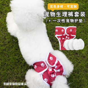 Cross-Border Popular Dog Physiological Pants Set with Pads, Menstrual Pants, Anti-Harassment Pants Suitable for Small and Medium-Sized Cats and Dogs