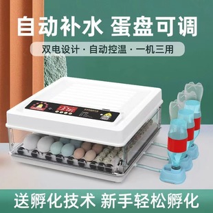 Fully Automatic Incubator Household Small Chicken Incubator Duck Goose Pigeon Quail Egg Incubator Machine for Hatching Chicks