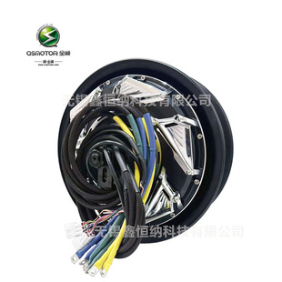 12��6000WP50H�o���QSMOTORȫ�늙C��Ƭ��48-96V늄�܇�Ħ늙C