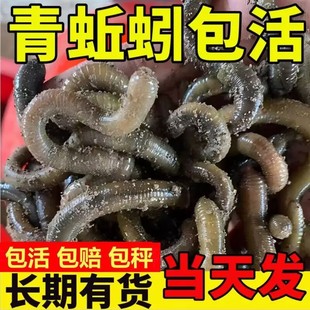 �~�D������r����w�������D�S�X�������������������������l