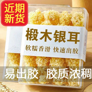 ��؛���x�����ľ�y����؛�oѬ���ľ��ľ��Ŵ��ɏ�Ӱٺ��y����