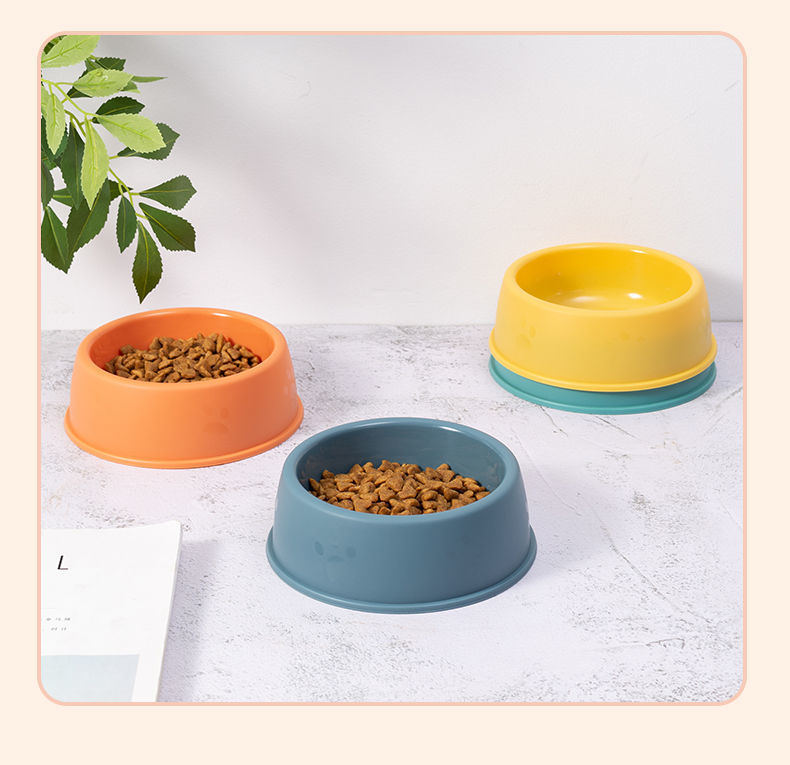 8835c4fd-9413-4126-a60c-3edfa176a099.jpe