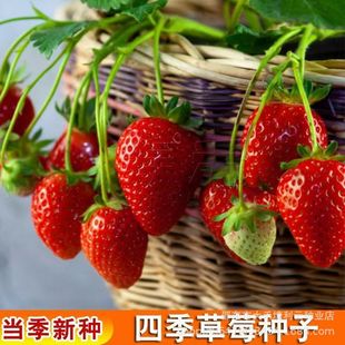 �ļ���ݮ�N�����Ͳ�ݮ�����������Ͱײ�ݮ�N�ӻ���̨�ļ��Nֲ