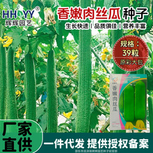 ������z�ϷN���L��z�ϷN���ļ����z�ϷN�ѹϹ����Ѳˈ@�߲˷N��