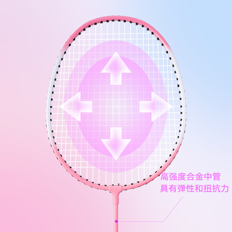 Fábrica real venta directa raqueta de bádminton para adultos de alto valor nominal, juego de raqueta de bádminton familiar para padres e hijos