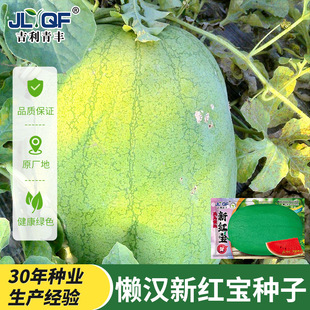 �����¼t�����ϷN�Ӵ��ﲥ�N�߮a���ϷN�����������׷N���ϷN��