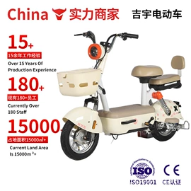 电动自行车;电动三轮车;其他电动车