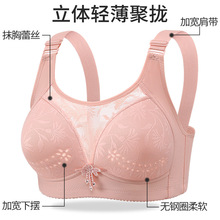 ���������¿��a���������´��۔n���m�̓��������֟o�Ȧ���ļ�