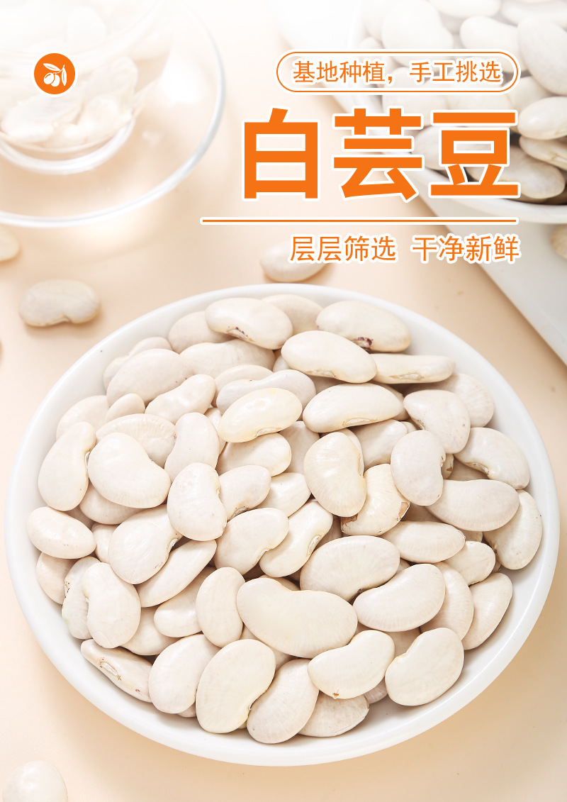 White Kidney Beans (Phaseolus vulgaris) — Dried Food Herb, 500g Bulk for Soups & Teas quality and texture
