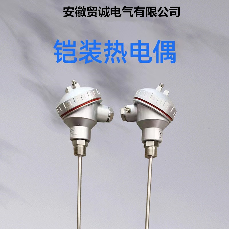 贸诚仪表 微细铠装热电偶 WRNK-191 型号规格齐全