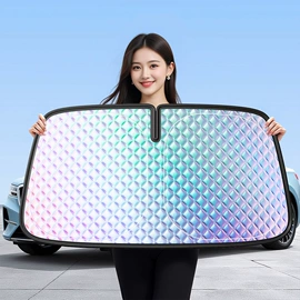 车用吸尘器;车载充气泵;汽车清洁工具