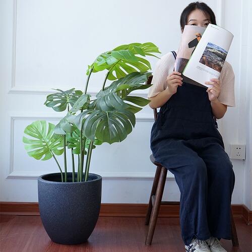Nordic simple cement flowerpot living room floor-standing creative personality round extra-large green plant pot pot