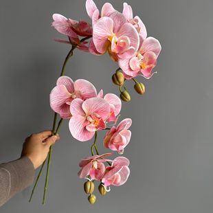 ��Ʒ�|7�^�ָ��zƬ�����m ��������m�߼��мҾӻ�c���üٻ��羳