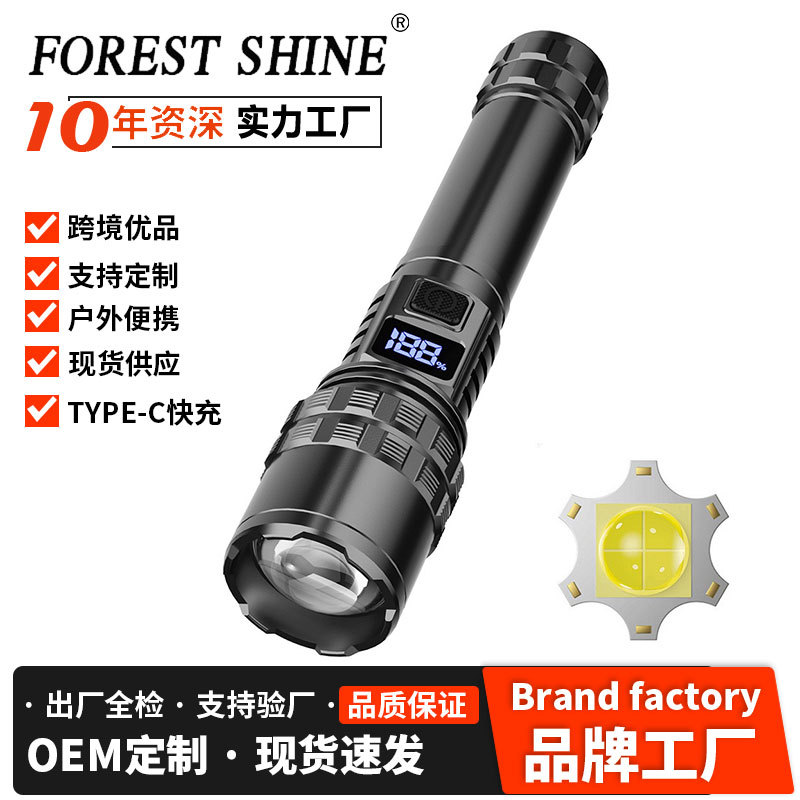 Nuevo tipo de linterna de luz fuerte transfronteriza antorcha de visualización digital multifuncional impermeable recargable luz de iluminación portátil al aire libre