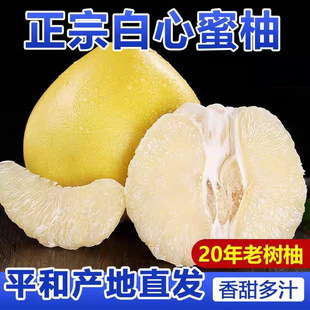 ����ƽ�ͬgϪ���İ׽�������ɳ���������֭�a��ֱ�l���l