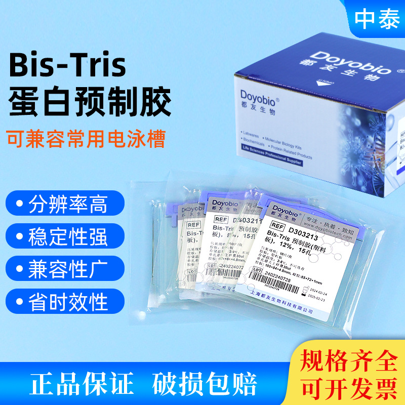 western blot 蛋白预制胶 Bis-Tris MOPS体系梯度胶 可SDS/Native