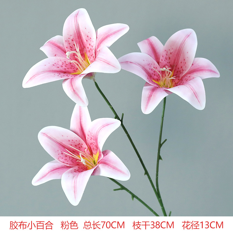 Adhesive tape Sayurus