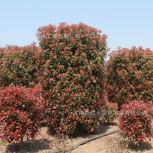 �t�~ʯ��������G�h�ļ����๤�̾G�����L�����͘�ߗUʯ�����