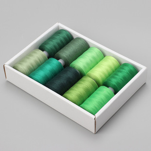 ���ÿp�x�� �Gɫϵ10�����b1000�a 402�ʾ��ֿp�� DIY �S������